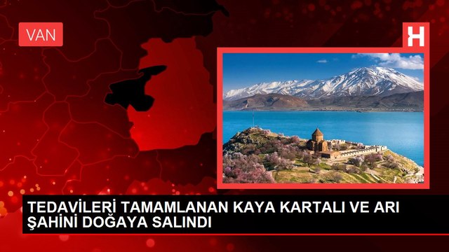 TEDAVİLERİ TAMAMLANAN KAYA KARTALI VE ARI ŞAHİNİ DOĞAYA SALINDI
