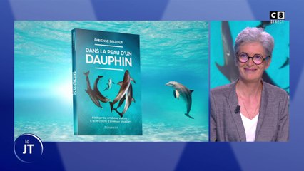 L'invitée du jour : Plongez dans l'univers des dauphins