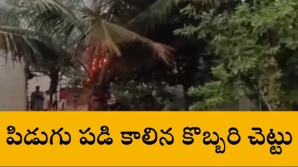 షాద్ నగర్: కొబ్బరి చెట్టుపై పిడుగు ..భయాందోళనలో ప్రజలు