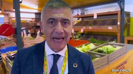 Pecoraro Scanio: Mercati contadini alternativa lobby cibo artificiale