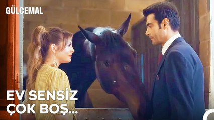 İçten Bir Özür Geçmişi Telafi Edebilir Mi? - Gülcemal 7. Bölüm