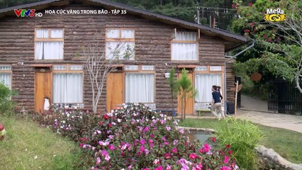Hoa Cúc Vàng Trong Bảo - Tập 35: Cập Nhật Mới Nhất 🌼