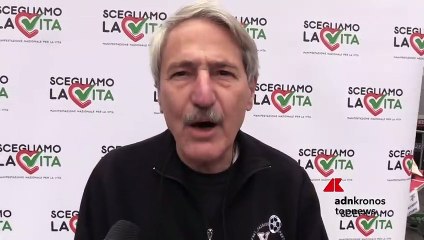 Scegliamo la Vita, Brandi (Pro Vita): "In piazza per dire no alla legge 194"