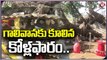 Poultry Farm Shed Collapsed Due To Heavy Winds Along Rain | Medak | V6 News