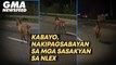 Kabayo, nakipagsabayan sa mga sasakyan sa NLEX | GMA News Feed