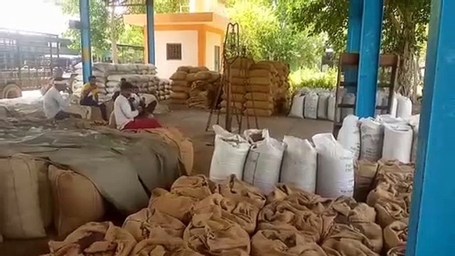 अपनी सरसों की उपज को सरकारी खरीद केंद्र पर एक दिन में चालीस क्विंटल तक बेच सकता है।