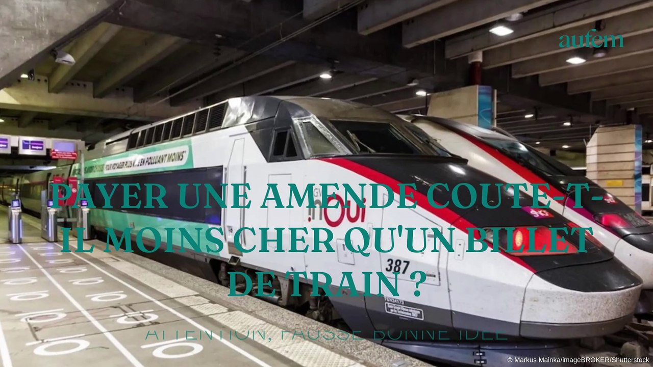 Payer une amende coûte-il moins cher qu'un billet de train ? Attention, fausse bonne idée