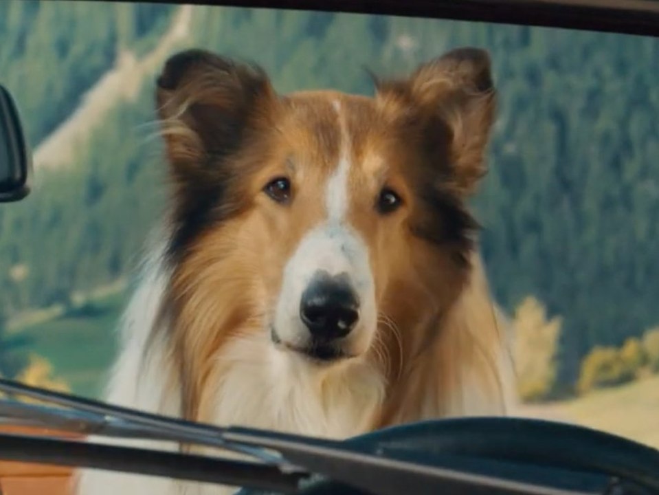 Neuer trailer zu "lassie - ein neues abenteuer"