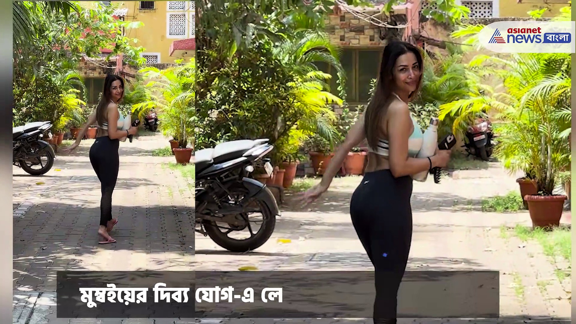 বিরাট কোহলি, অনুষ্কা শর্মা থেকে মালাইকা অরোরা, দেখুন আপনার পছন্দের তারকাকে বলিউড মশালায়