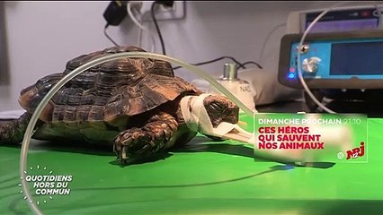 Quotidiens hors du commun - 28 mai