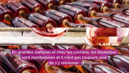 Voici les meilleurs vins rosés de l’été 2023, selon ces experts qui ont testé 200 bouteilles