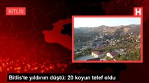 Bitlis'te yıldırım düştü: 20 koyun telef oldu