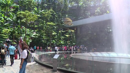 [대구] 인구 소국 싱가포르가 글로벌 항공 허브로...벤치마킹 나서 / YTN