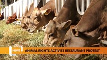 Bristol May 22 Headlines: Local animal rights activist staged a protest at a bristol steak restaurant