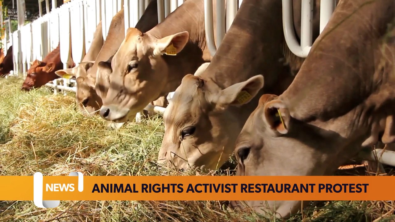 Bristol May 22 Headlines: Local animal rights a...