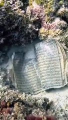 Video herunterladen: Miracle_of_Quran___Million_Share_Bashak_Subhanallah_#facts_#history_#islam_#Quran_#reels#shorts(360p)