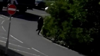 Moment sexual predator flees after attacking mother with noose in broad daylight