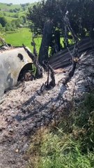 The remains of a burnt out car were discovered in Raddington on Monday morning
