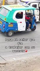 Para no dejar solo a su mascota en casa lo lleva a su trabajo