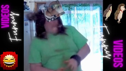 046 Laugh Out Loud Hilarious Videos Guaranteed to Make You Smile