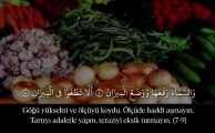 Rahmân Sûresi 1-28 سُورَةُ الرَّحْمٰنِ Mansur el Salimi