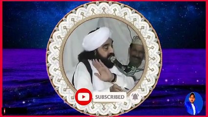 Allama pir Naseer uddin shah
