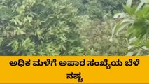 ಚಿಕ್ಕಬಳ್ಳಾಪುರ: ತಾಲೂಕಿನ ಹಲವೆಡೆ ಸುರಿದ ಬಾರಿ ಮಳೆ , ರೈತರು ಬೆಳೆದ ಬೆಳೆ ನಾಶ