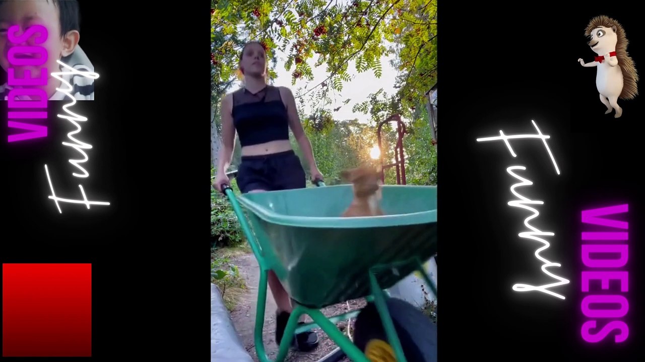 048 Laugh Out Loud Hilarious Videos Guaranteed to Make You Smile