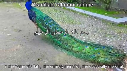 سورة الكافرون _ هزاع البلوشي _ surah al-kafiroon