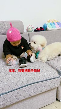 Dog Helping The Baby To Taking off socks | Dog Funny Moments | Animals Funny Moments | Cute Pets #4u