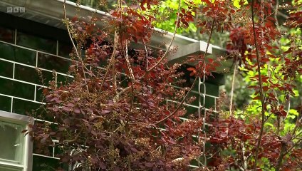 RHS Chelsea Flower Show 2023 episode 1