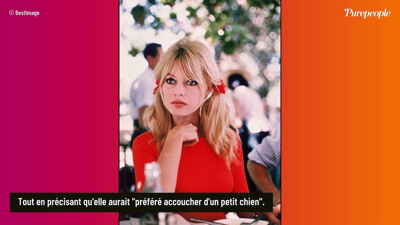 "J'aurais préféré accoucher d'un petit chien" : Les mots durs de Brigitte Bardot envers son fils Nicolas
