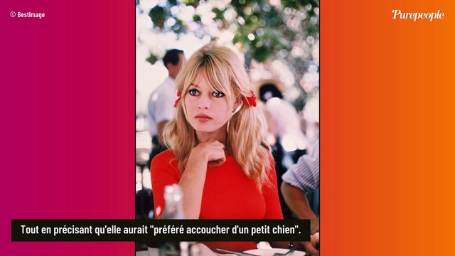 J'aurais préféré accoucher d'un petit chien : Les mots durs de Brigitte Bardot envers son fils Nicolas