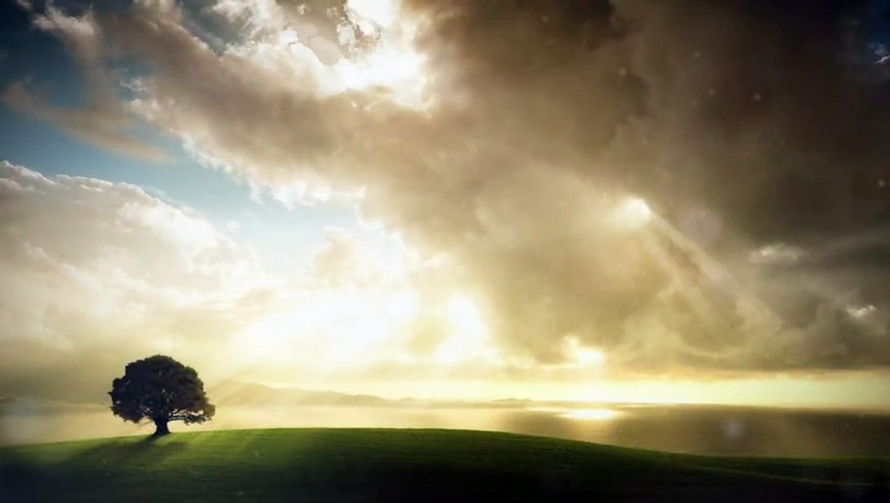 Ambient Vol. 3-04 (Lonely Tree)