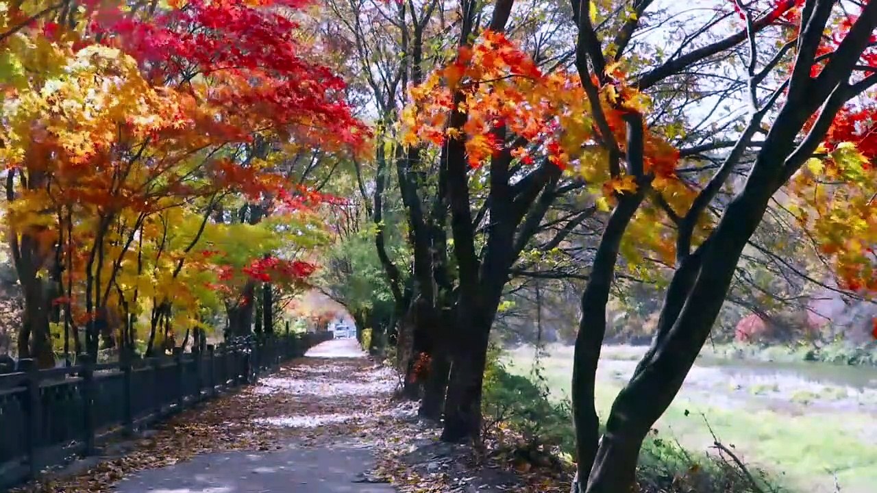 Ambient Vol. 3-07 (Autumn Wind)