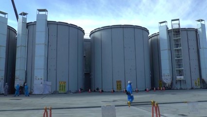 장호진 외교부 1차관 "오염수 시찰단 자문위, 이중적 안전장치" / YTN