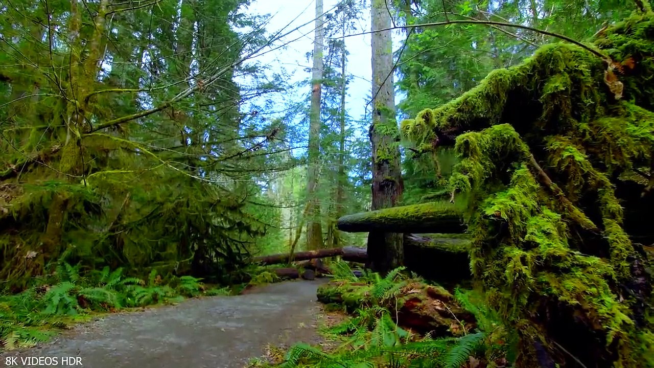 Natural Wonders of North America 8K Ultra HD