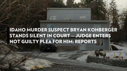 Idaho Murder Suspect Bryan Kohberger Stands Silent in Court — Judge Enters Not Guilty Plea for Him: Reports