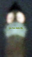 Mon dernier single Belle Vie est disponible !