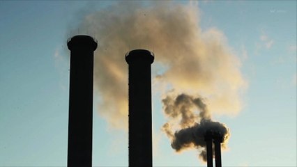 German Government Slammed For Supporting New Natural Gas Infrastructure