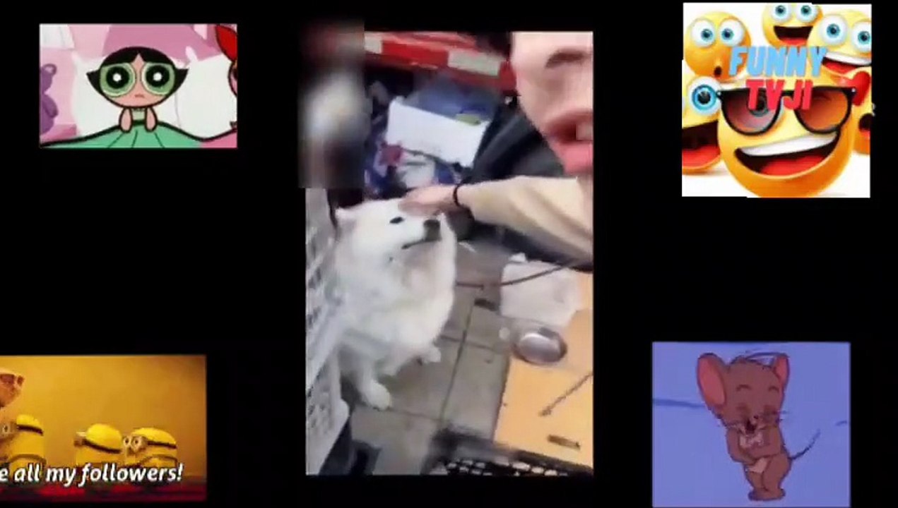 funniest moments ever 56