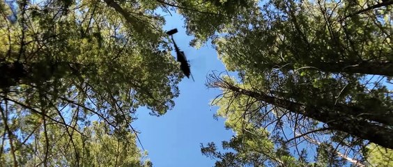 Warhorse One (2023) Official Trailer – Intense Navy SEAL Action & Heroic Rescue 🚁