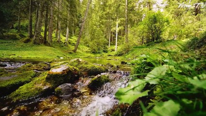 Relaxation Music for Sleep - Peaceful and Calming Ambient Soundscape