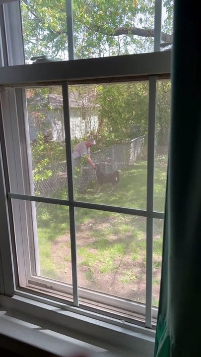 Dog Comforts Grieving Man With Game of Fetch