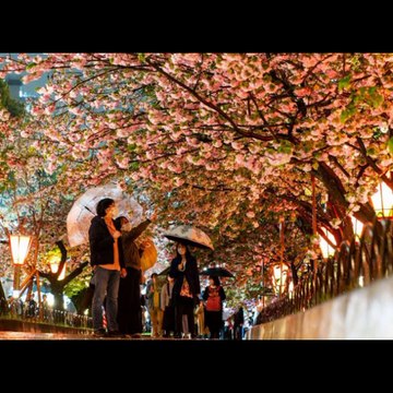 Top 50 japan pics video drama dikho chanal