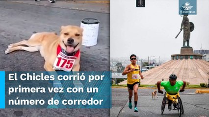 Conoce a “El Chicles”, el perrito corredor que ha enternecido a las redes sociales