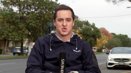 Inquiry calls for universal preschool for three-year-olds to be rolled out in SA from 2026