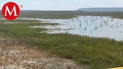 Conagua cierra las compuertas de la presa ‘Vicente Guerrero’ en Tamaulipas