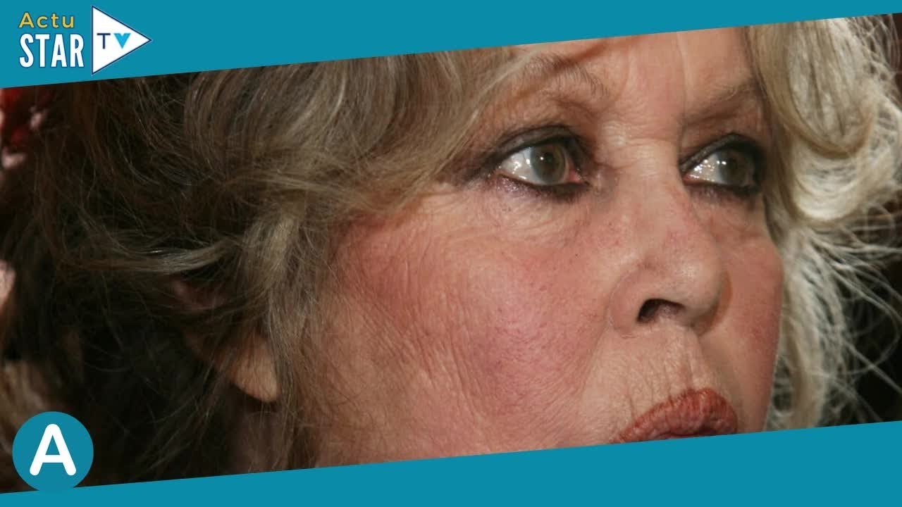 "J'aurais préféré accoucher d'un petit chien" : Les mots durs de Brigitte Bardot envers son fils Nic