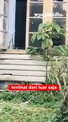 Cerita Mistis di Lakespra Cianjur, dari Bola Api Hinga Genderuwo Wanita